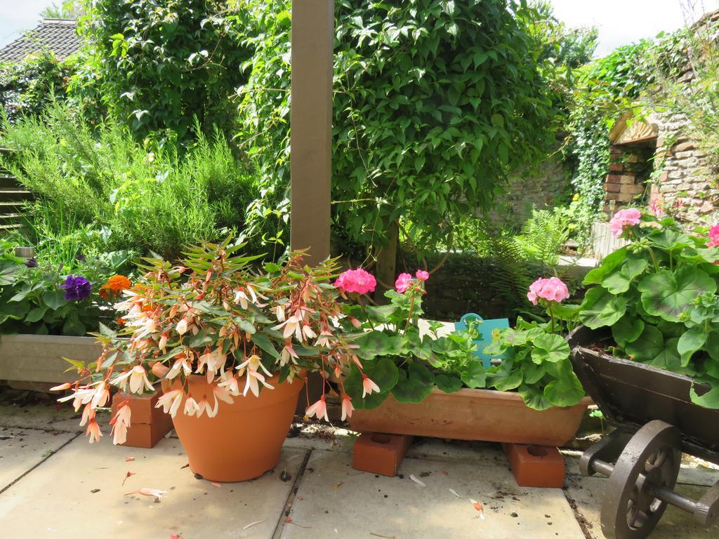 Little Orchard Apartment Pont Yates Екстериор снимка