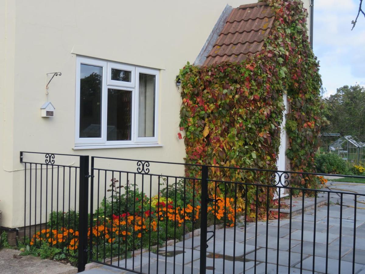 Little Orchard Apartment Pont Yates Екстериор снимка